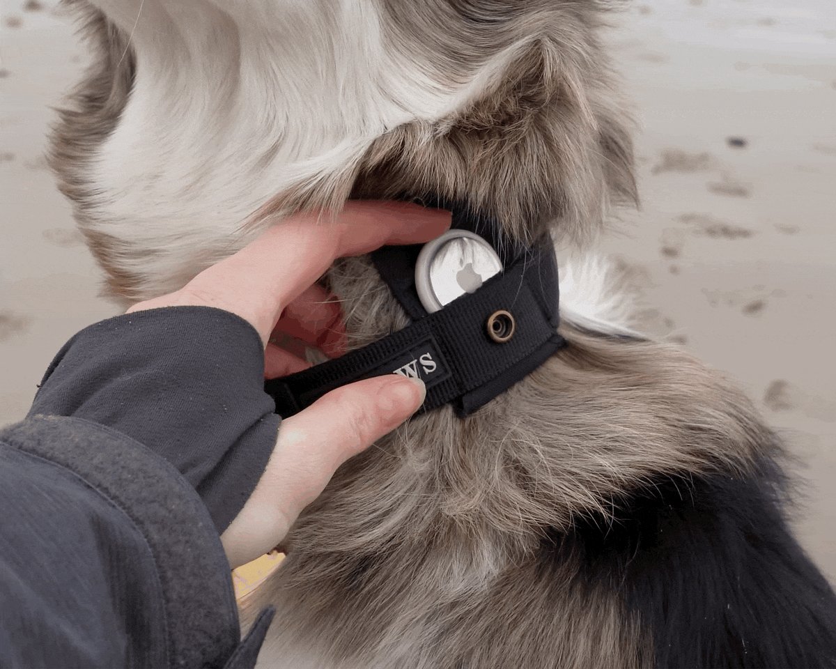 Keepaws™ - The Original AirTag Collar