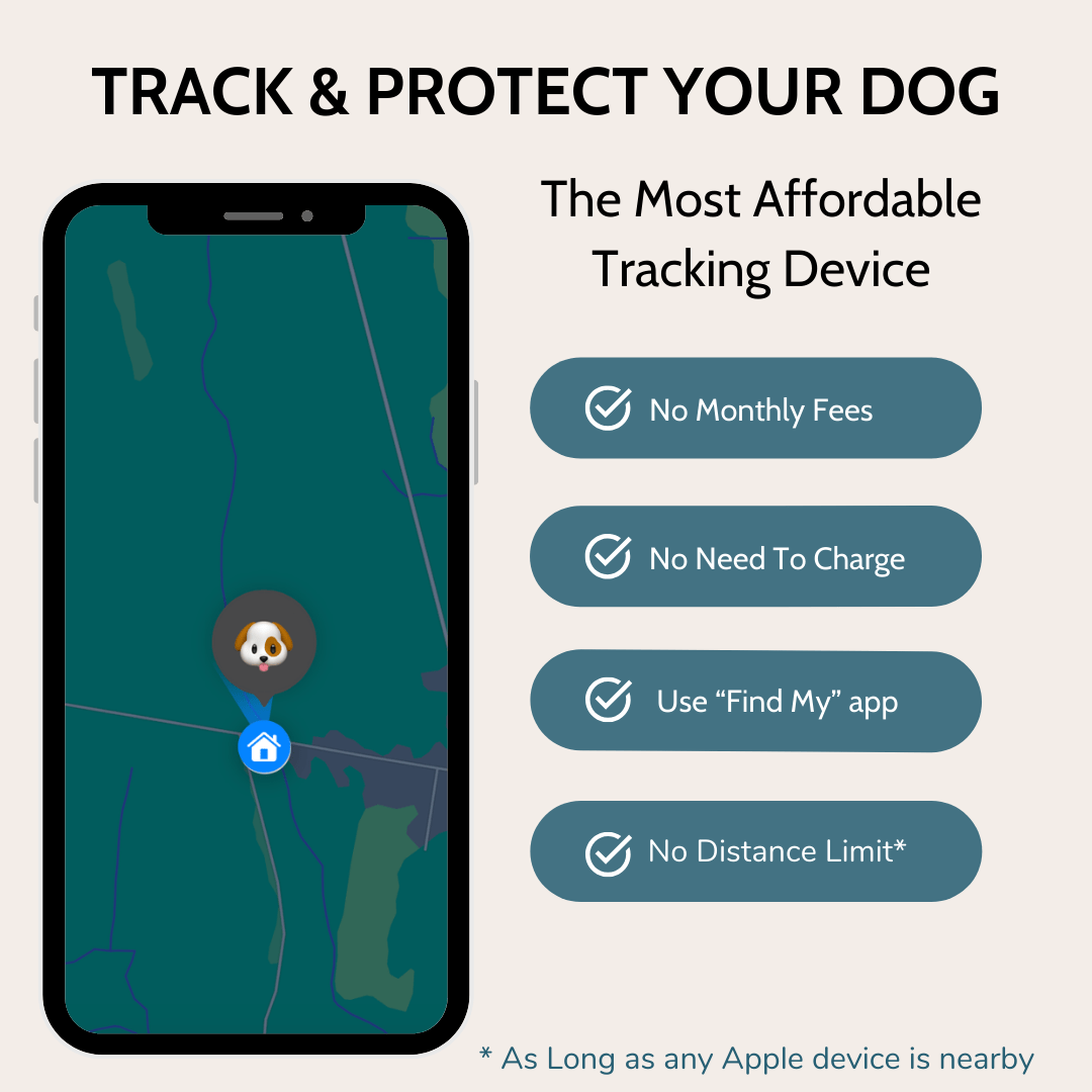 Track my dog with my phone deals