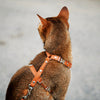 Keepaws™ Leather AirTag Harness