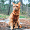 Keepaws™ Leather AirTag Harness