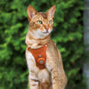 Keepaws™ Leather AirTag Harness