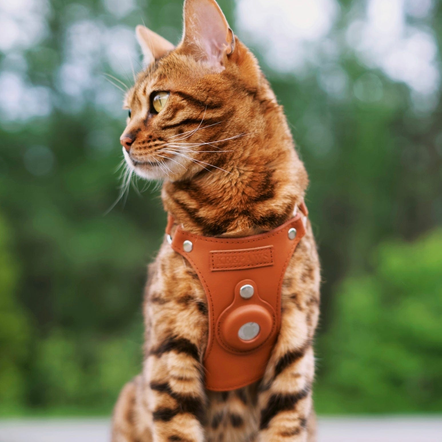 Keepaws™ Leather AirTag Harness