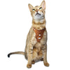 Keepaws™ Leather AirTag Harness